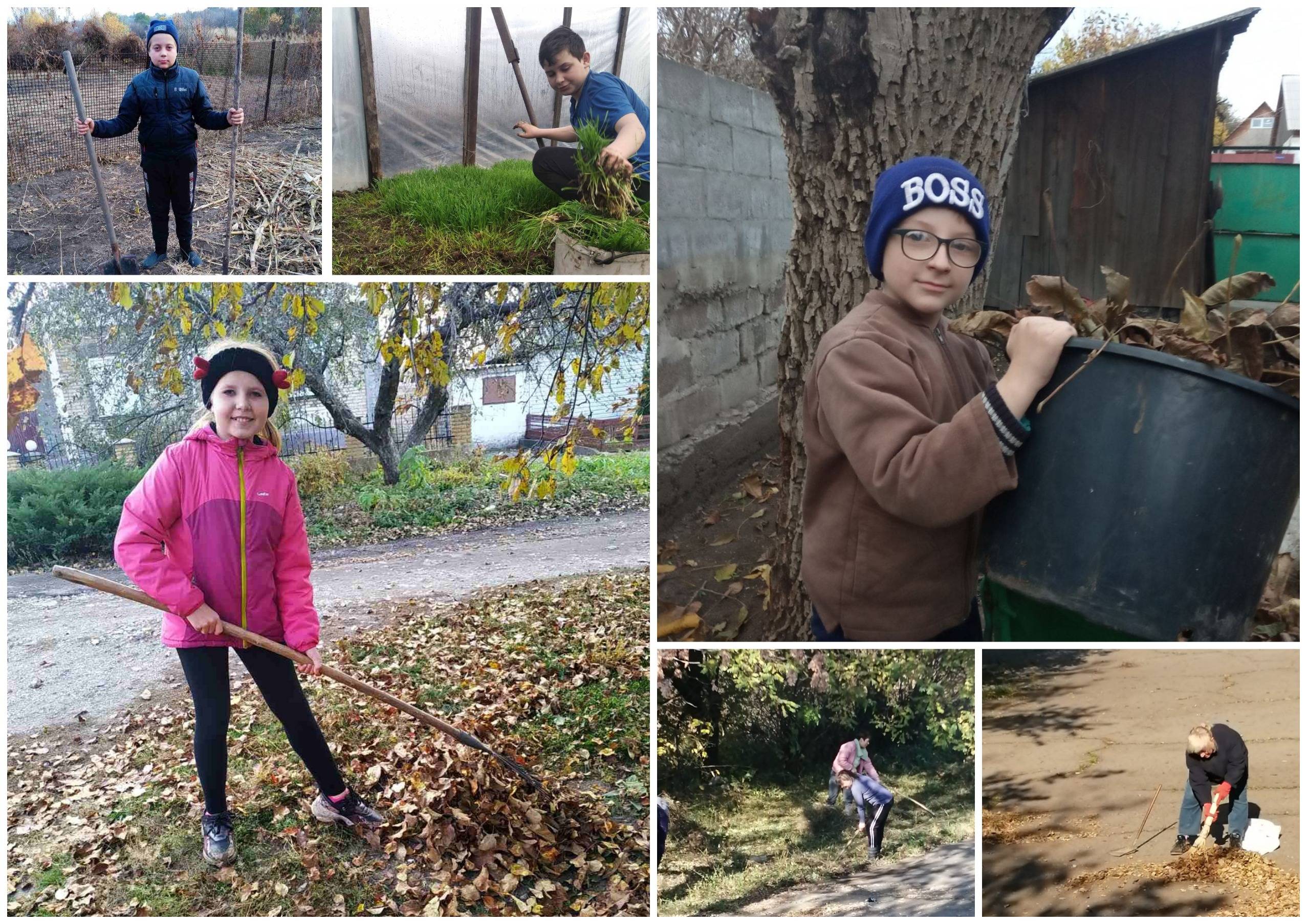 Постер к социальной практике: Акция "Чистоты не бывает много!"