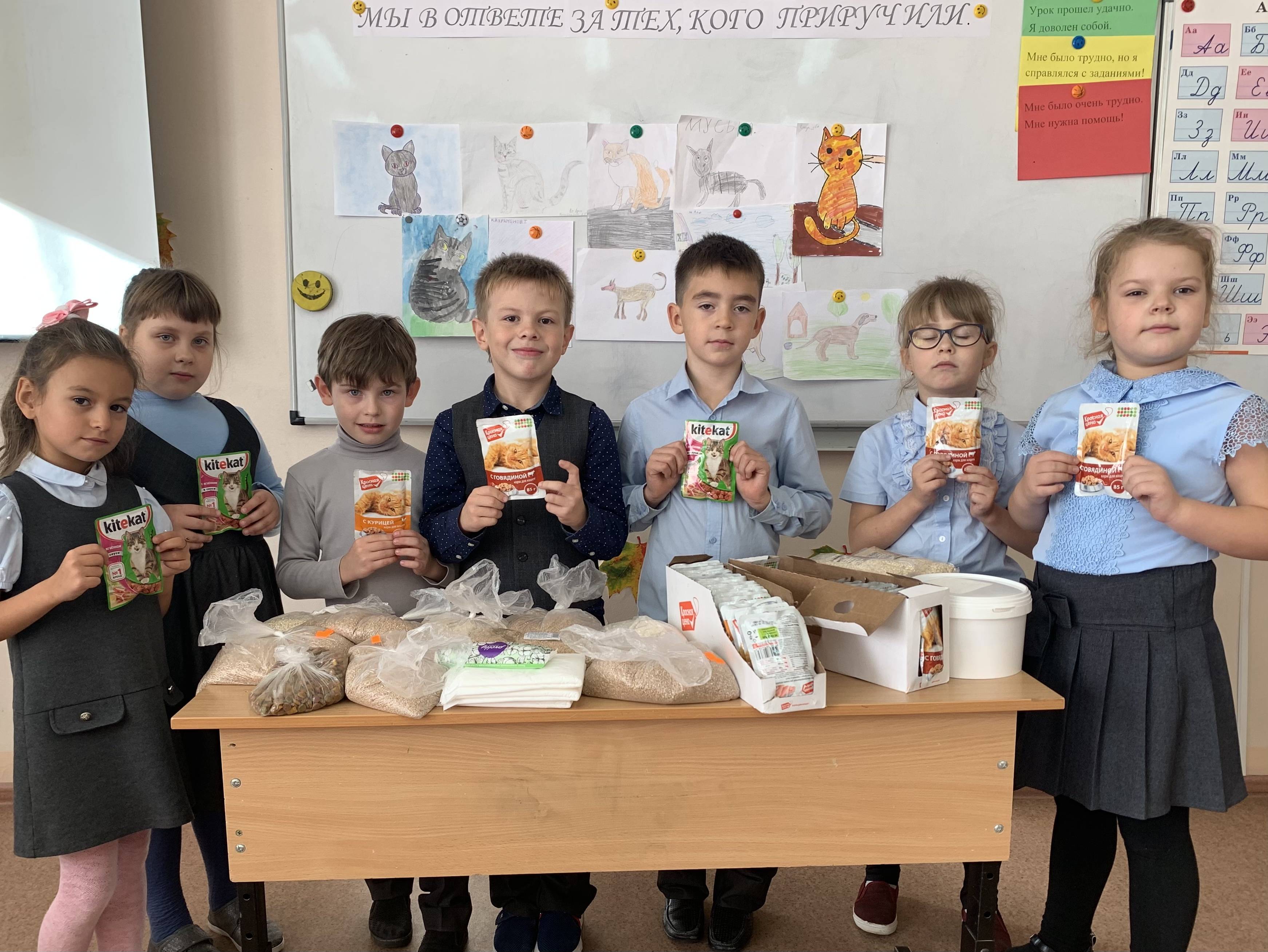 Постер к социальной практике: Мы в ответе за тех, кого приручили.