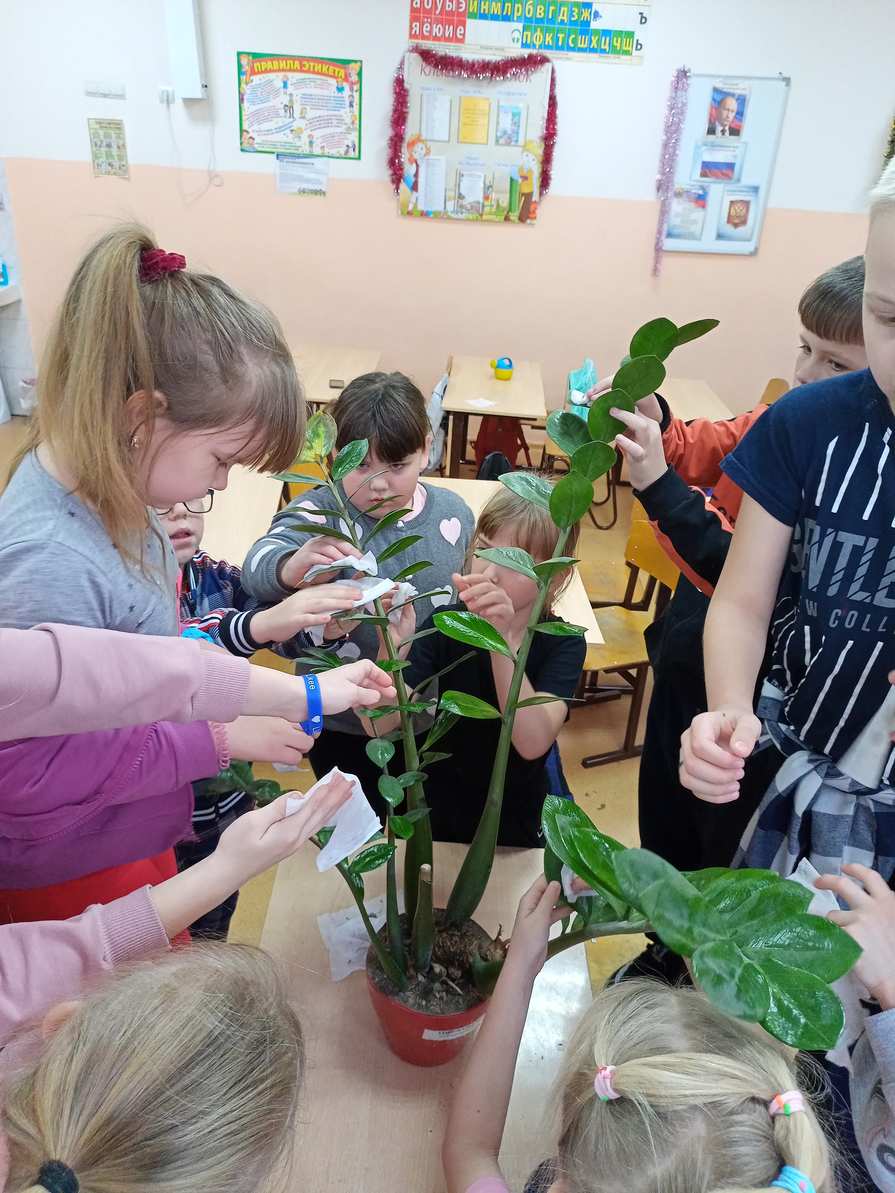 Постер к социальной практике: Познаем природу