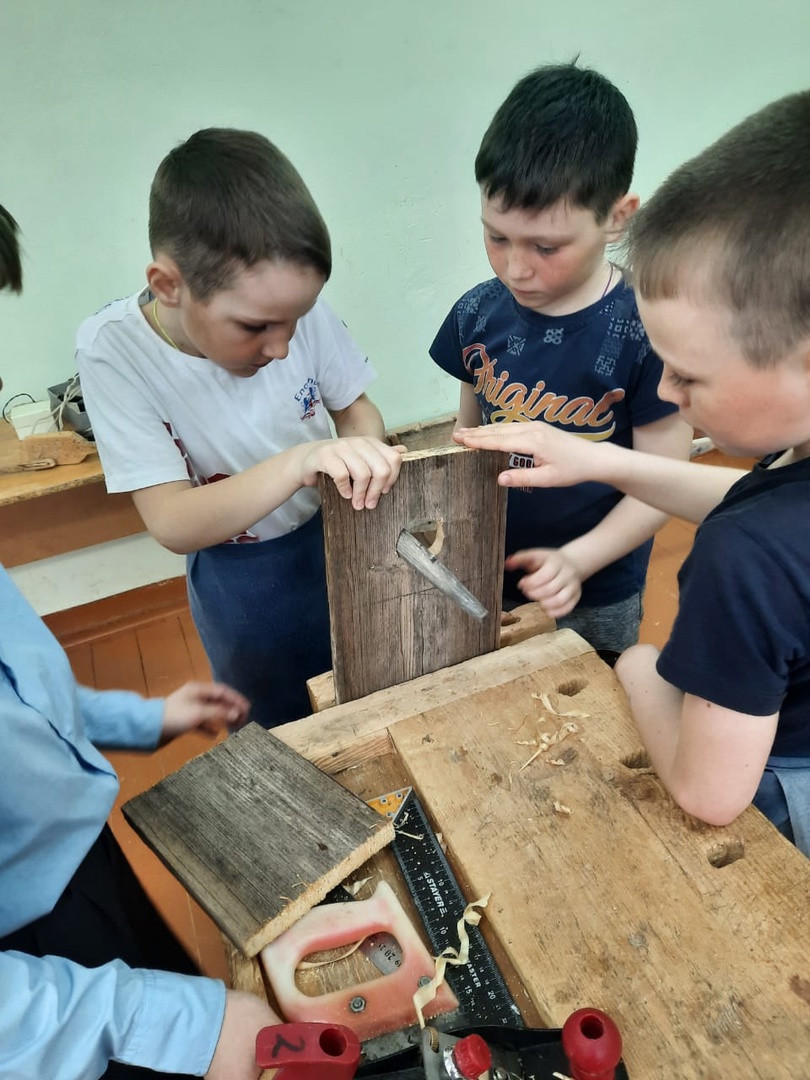 Постер к социальной практике: Скворцы сказали "Спасибо"