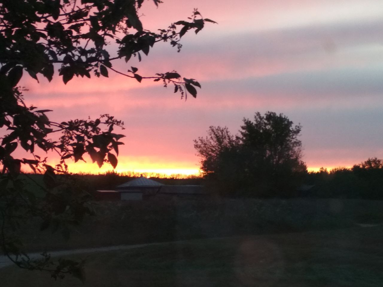 Фотография Любимова Светлана Николаевна